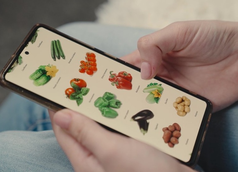 Infoline фиксирует смену тренда: Россия становится локомотивом роста глобального рынка e-grocery