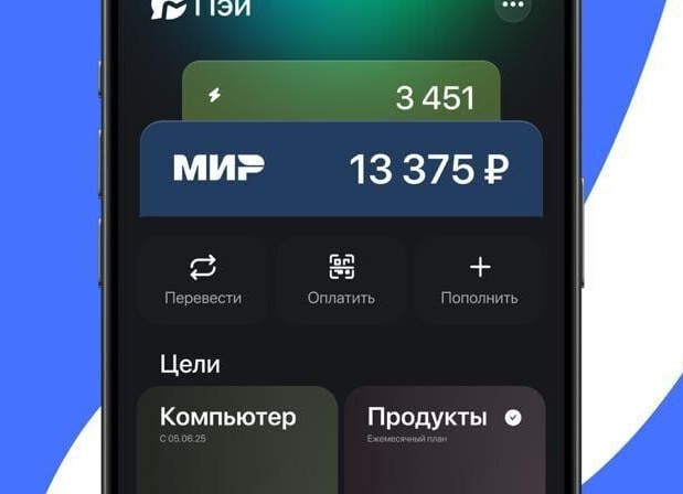 Российский мессенджер «Молния» для связи с Китаем запустят в 2026 году