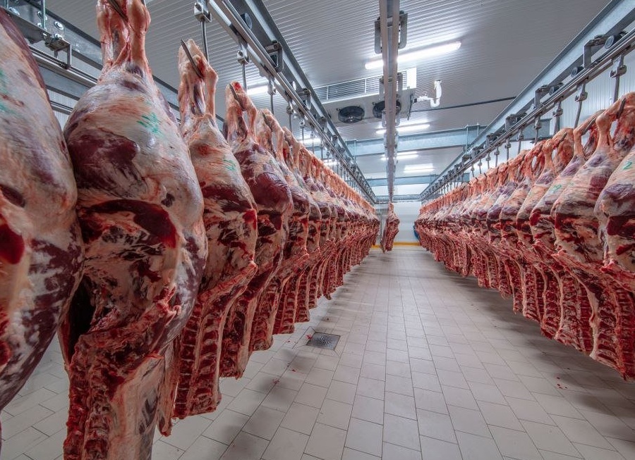 Группа «Черкизово» опровергла сообщения о вспышке туберкулеза на своем мясокомбинате