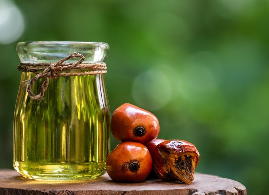 В РФ не планируют ужесточать меры по контролю качества пальмового масла