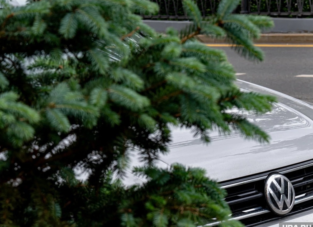 Средняя стоимость подержанных иномарок достигла двухлетнего минимума